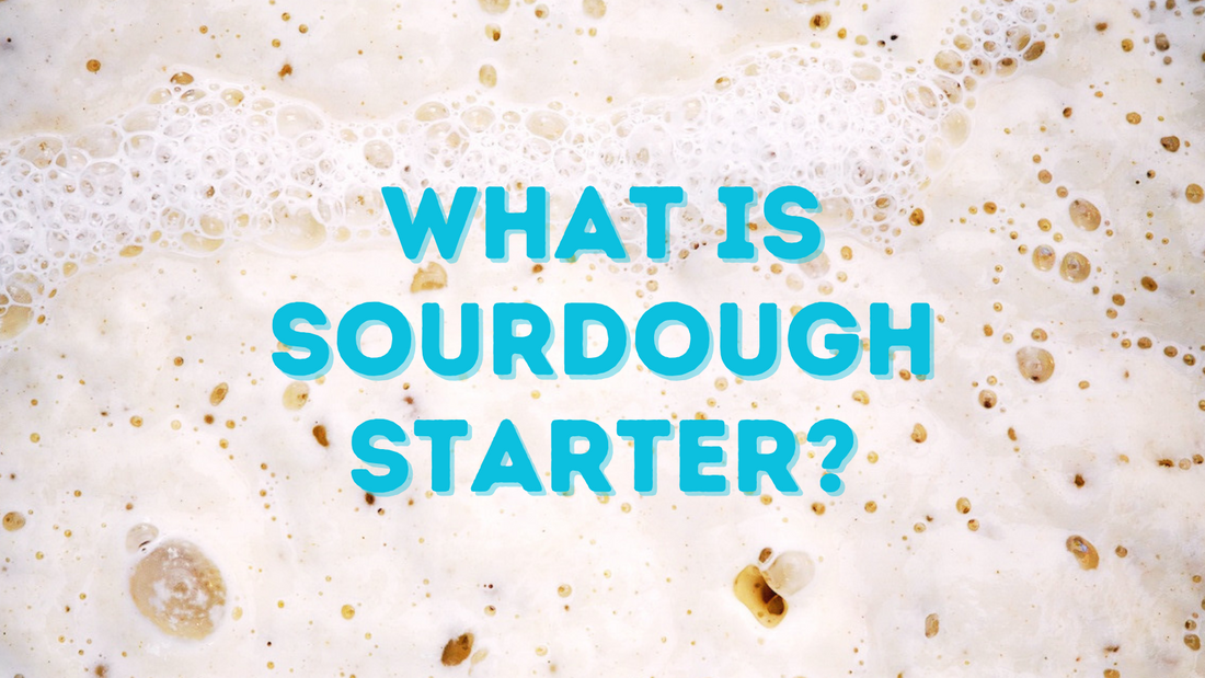 What is Sourdough Starter?