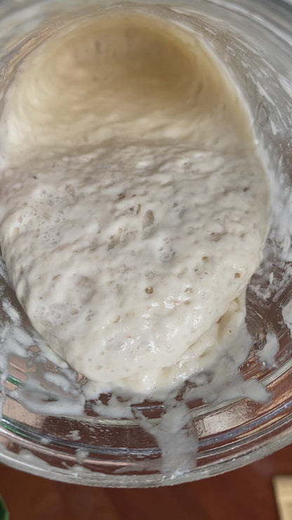 100+ Year Old Sourdough Starter for Sale